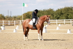 SBM_019260