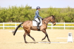 SBM_008392