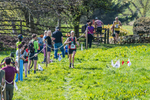 The Finish-382