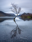 Llyn Padarn (3)