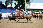 3HRodeo8-11-25_PRCASteer_05268_