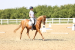 SBM_010175