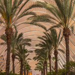 L'Umbracle, City of Arts and Sciences, Valencia - Portrait Version