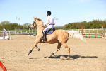 SBM_002675