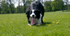 Floss 1