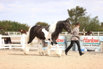 SBM_09285
