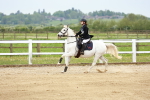 SBM_009237