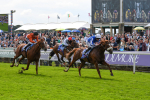 250823-Race 1-Marhaba The Champ-0133