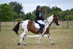 WJ6_9886