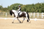 SBM_001578