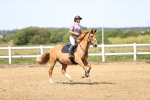 SBM_004171