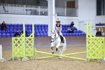 SBM_000206