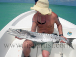 Trophy Barracuda.