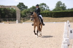 British Dressage portfolio