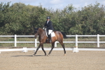 SBM_001575