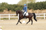 SBM_003377