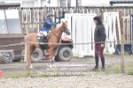 CLASS 16 SUN Springboard 128cm/ 138cm Restricted Handicap portfolio
