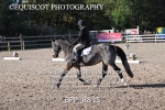 BPP_8815