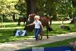 328-GREENLOUGH_CROSS-Kelly_Mccarthy-maine-WEDTrotUp+DR portfolio