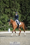 131-FORTSIDE_COBRA-Freddie_Carden-WEDTrotUp+DR portfolio