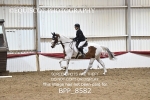 BPP_8582