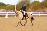 SBM_008734