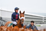 131224-Race 4-Izino dAiry-9009