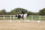 SBM_017986
