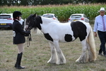 WJ6_6640