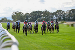 140926-Race 2-Bladey Lady-6782