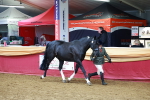 SBM_17093