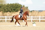 SBM_009354