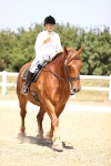 SBM_004138