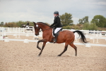 SBM_06069