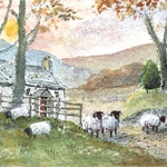 Sheep at Evening