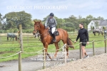 BPP_1684