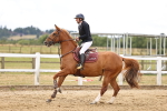 SBM_026957