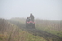 WJ6_7010