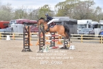 BPP_0984