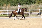 SBM_002501
