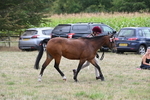 WJ6_6186