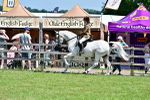 SBM_15370