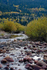 3HPhotography10-6-24_RMNP_0415_