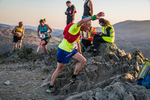 Loughrigg-599