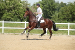 SBM_012382