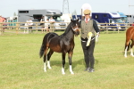 SBM_00456