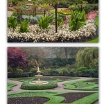 the dingle shrewsbury