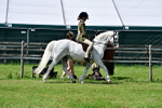 SBM_07758