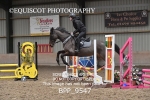 CLASS 6 70CM Intermediate Show Jumping portfolio