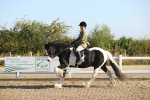 SBM_01142